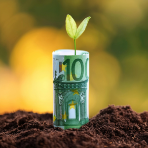rolled banknote on the soil